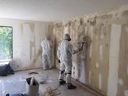 Best Airborne Mold Testing  in Deenwood, GA